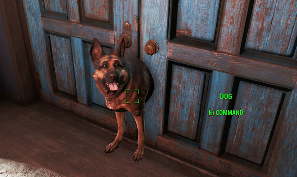 fallout 4 bug door