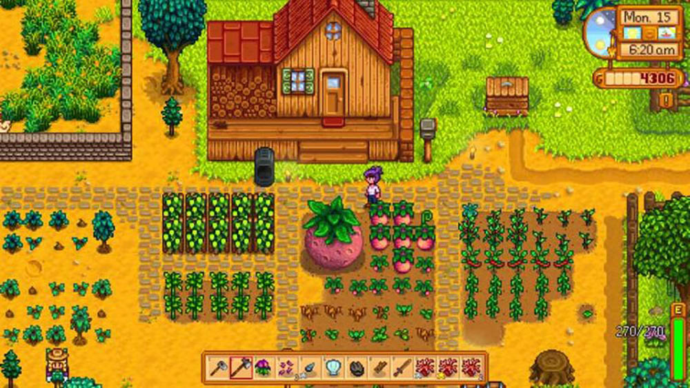 stardew valley collectors edition