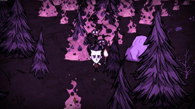 Dont Starve