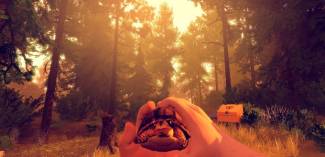 توسعه دهنده Firewatch بدنبال مترجم