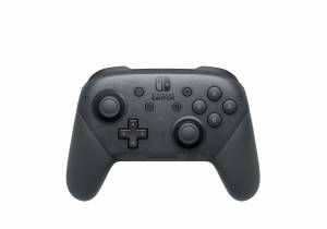 یک پیغام مخفی در کنترلر پرو Switch