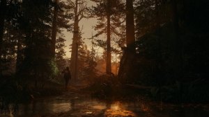 در Alan Wake 2 مناطق باز با قابلیت گردش آزاد نیز وجود دارد