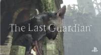 تریلر گیم پلی بازی The Last Guardian